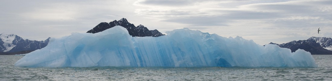 Blue Iceberg - Lillihookbreen