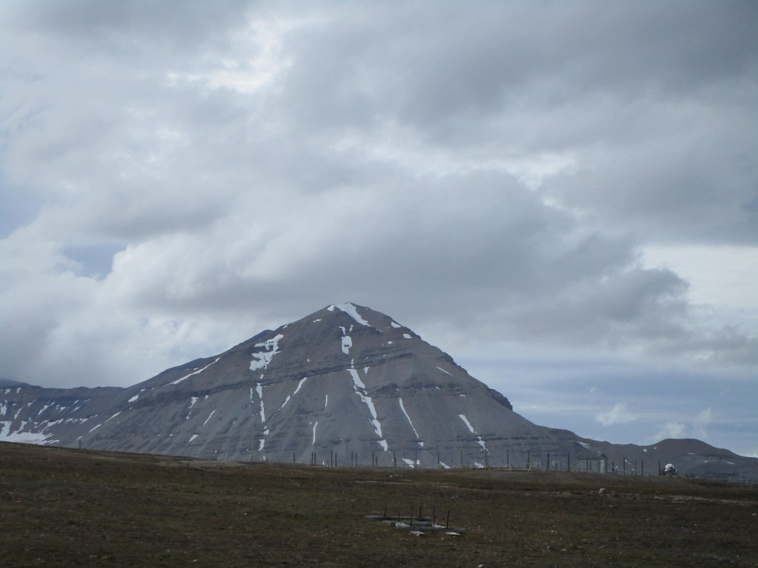 OTL06-24, Day 2,   IMG_3356 © Unknown photographer - Oceanwide Expeditions.JPG