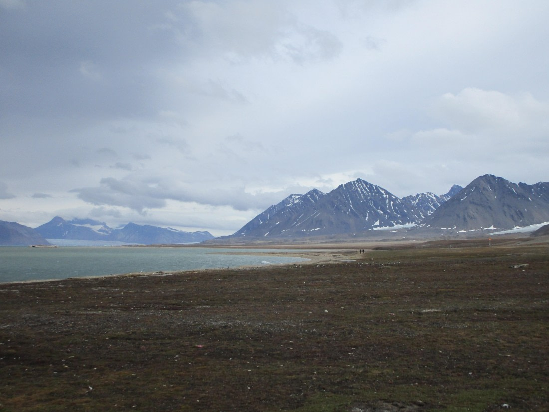 OTL06-24, Day 2,   IMG_3357 © Unknown photographer - Oceanwide Expeditions.JPG