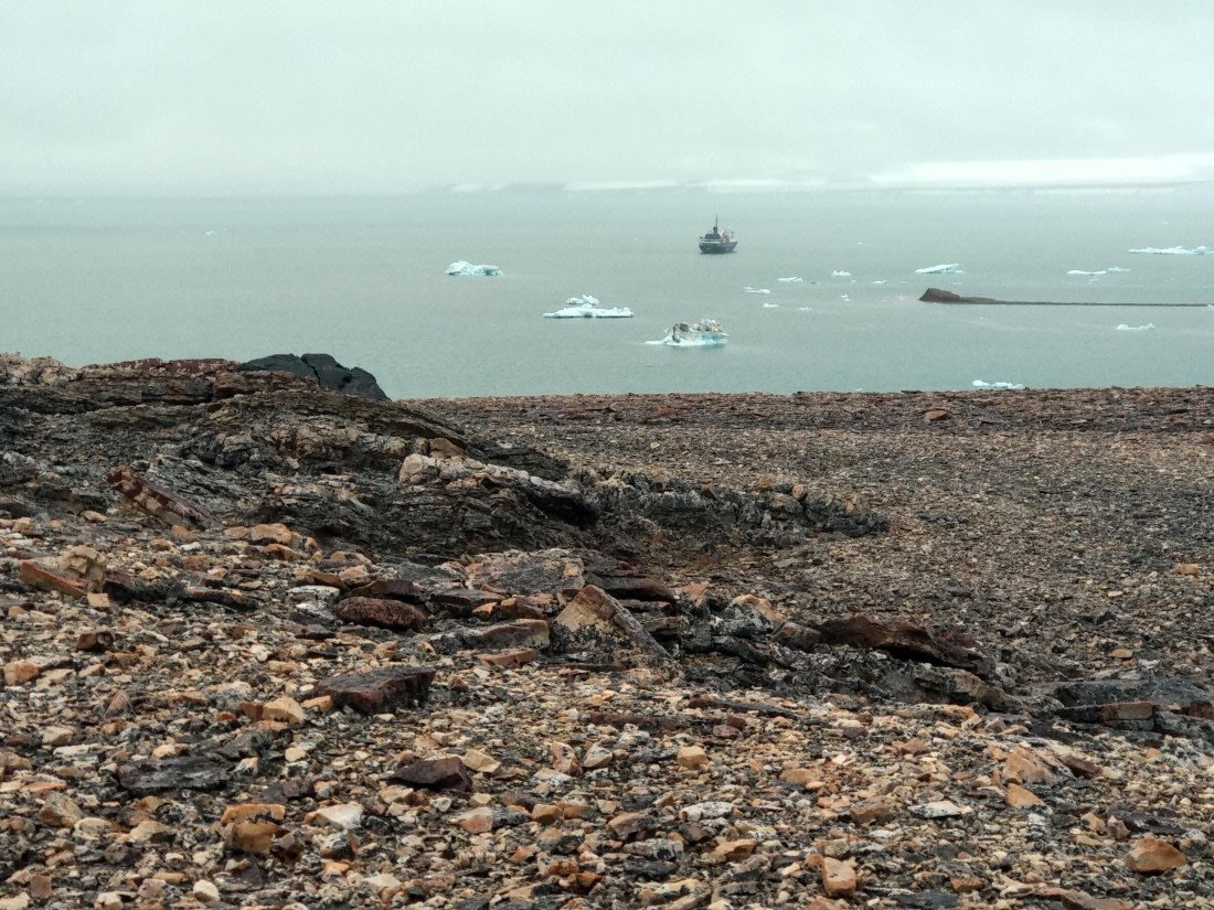 OTL06-24, Day 4,   IMG_20240713_085214 © Unknown photographer - Oceanwide Expeditions.jpg