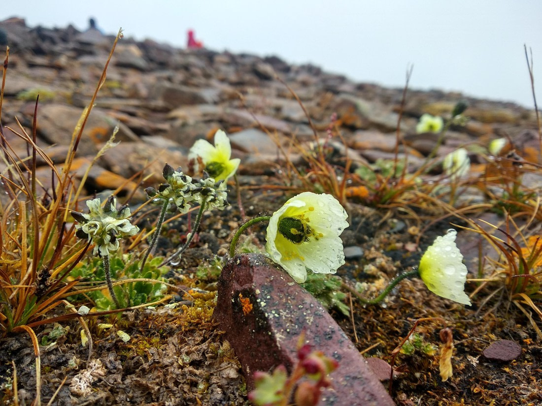 OTL06-24, Day 4,   IMG_20240713_100440 © Unknown photographer - Oceanwide Expeditions.jpg