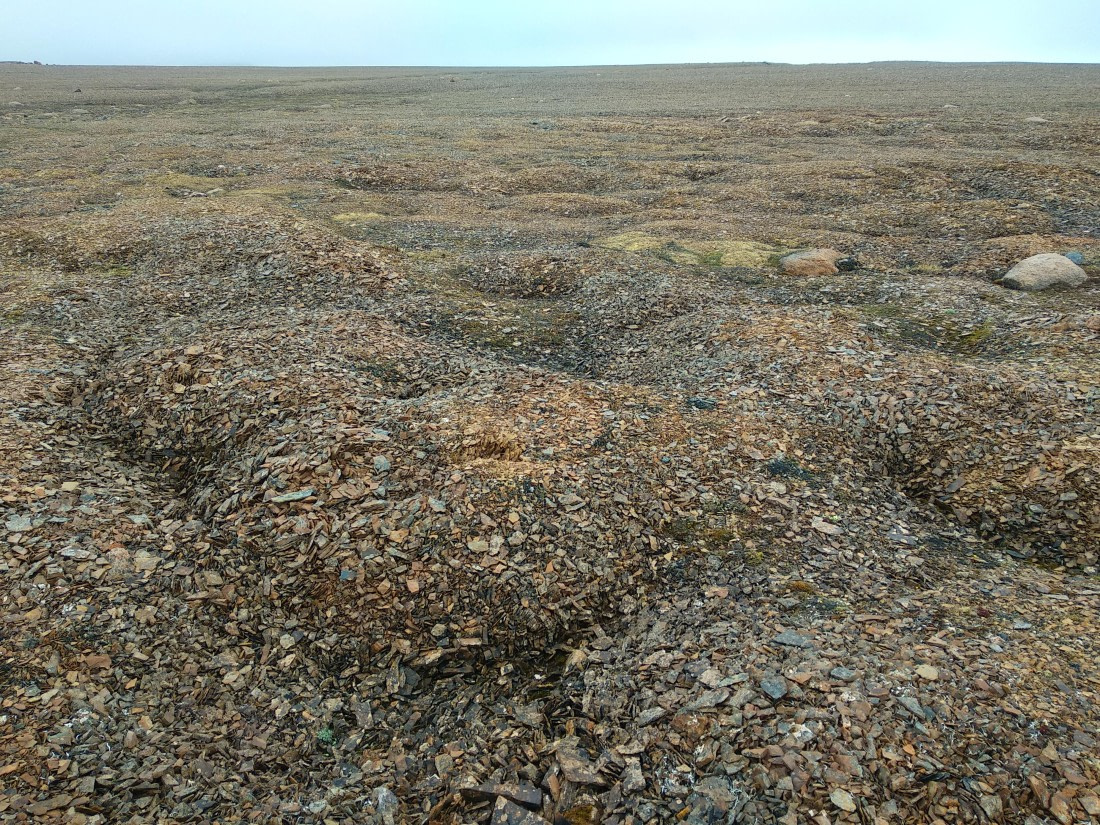 OTL06-24, Day 4,   IMG_20240713_102935 © Unknown photographer - Oceanwide Expeditions.jpg