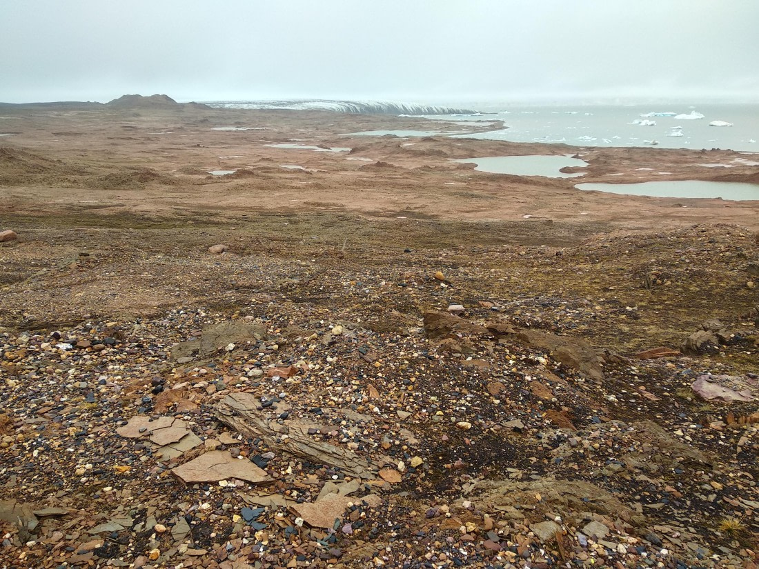 OTL06-24, Day 4,   IMG_20240713_104239 © Unknown photographer - Oceanwide Expeditions.jpg