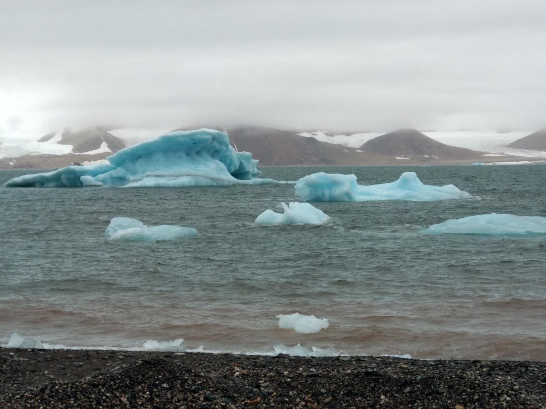 OTL06-24, Day 4,   IMG_20240713_114356 © Unknown photographer - Oceanwide Expeditions.jpg