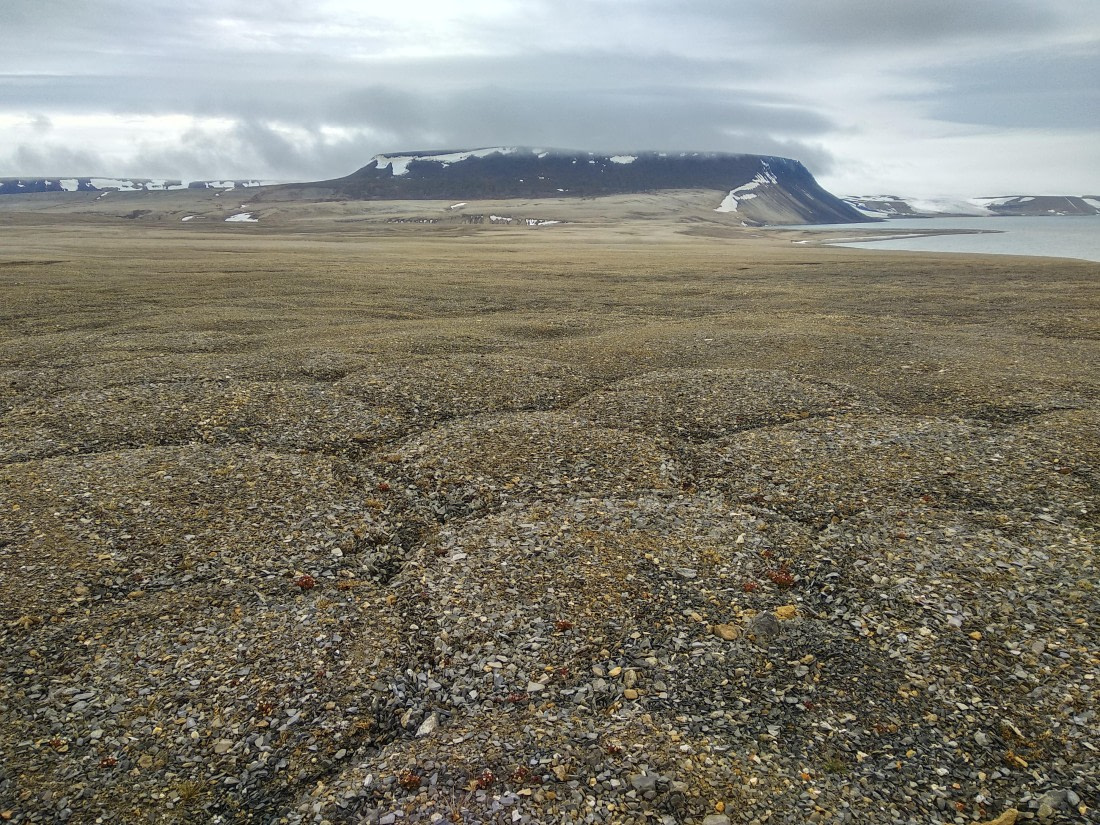 OTL06-24, Day 4,   IMG_20240713_152019 © Unknown photographer - Oceanwide Expeditions.jpg