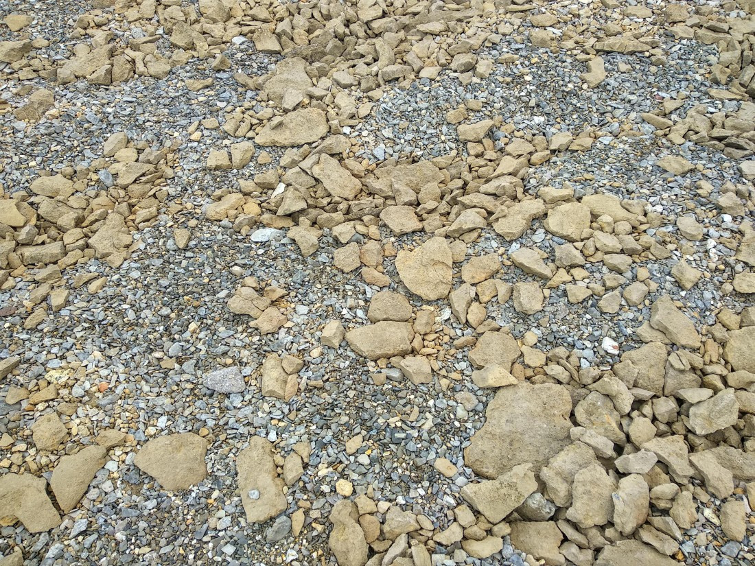 OTL06-24, Day 4,   IMG_20240713_161853 © Unknown photographer - Oceanwide Expeditions.jpg