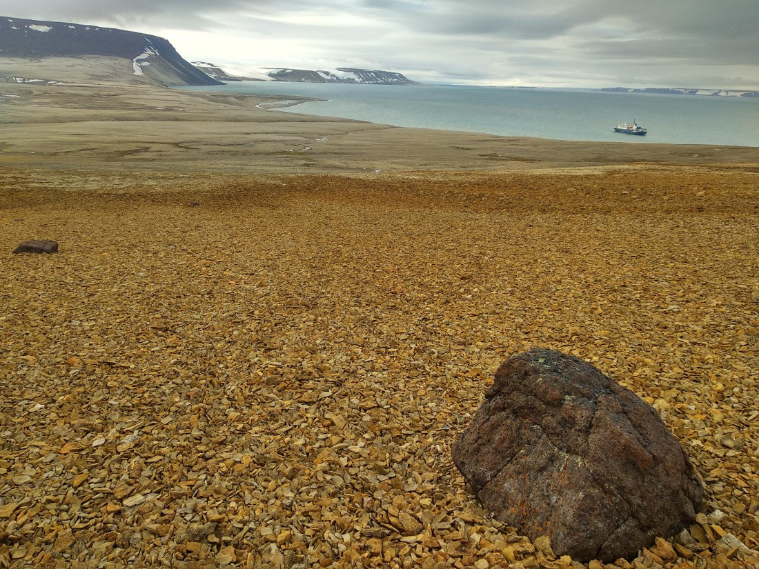 OTL06-24, Day 4,   IMG_20240713_170952 © Unknown photographer - Oceanwide Expeditions.jpg