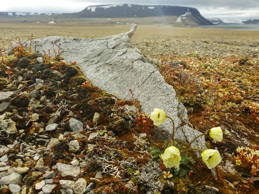 OTL06-24, Day 4,   IMG_20240713_173017 © Unknown photographer - Oceanwide Expeditions.jpg