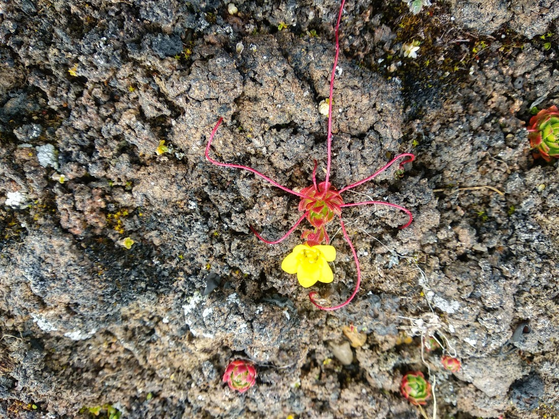 OTL06-24, Day 4,   IMG_20240713_173231 © Unknown photographer - Oceanwide Expeditions.jpg