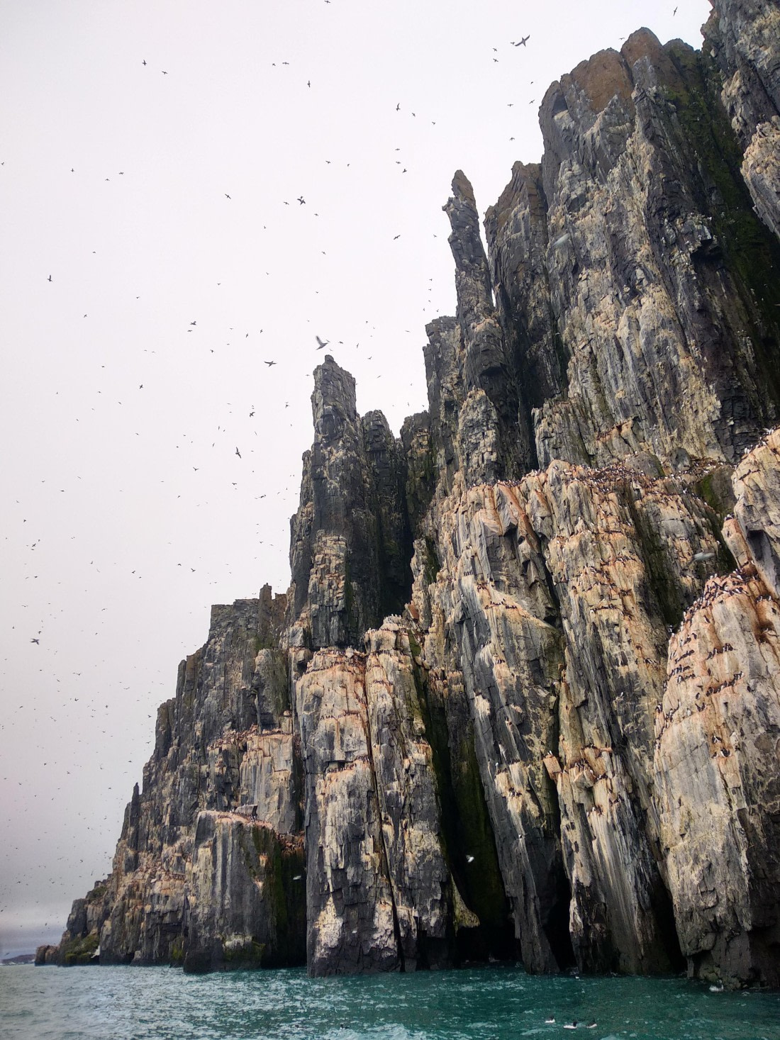 OTL06-24, Day 4,   IMG_20240713_223752 © Unknown photographer - Oceanwide Expeditions.jpg