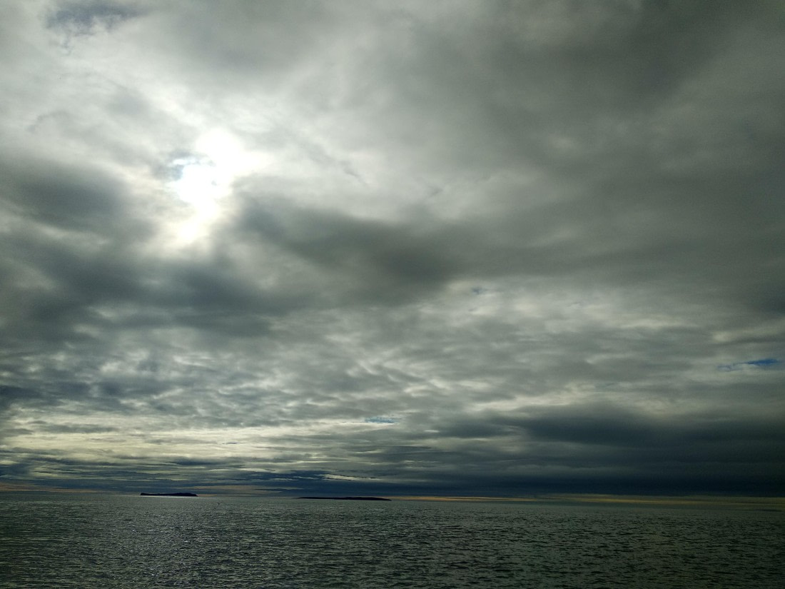 OTL06-24, Day 4,   IMG_20240714_085312 © Unknown photographer - Oceanwide Expeditions.jpg