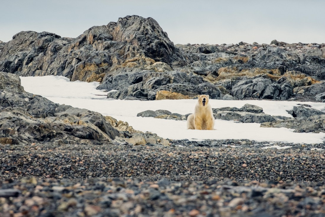 OTL06-24, Day 6,  2B5A0923 © Juan Martin Berenstein - Oceanwide Expeditions.jpg