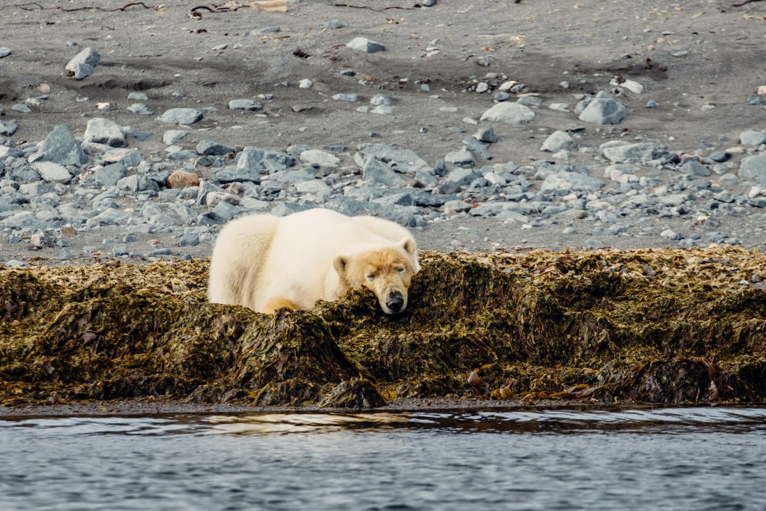 OTL06-24, Day 6,  2B5A1048 © Juan Martin Berenstein - Oceanwide Expeditions.jpg
