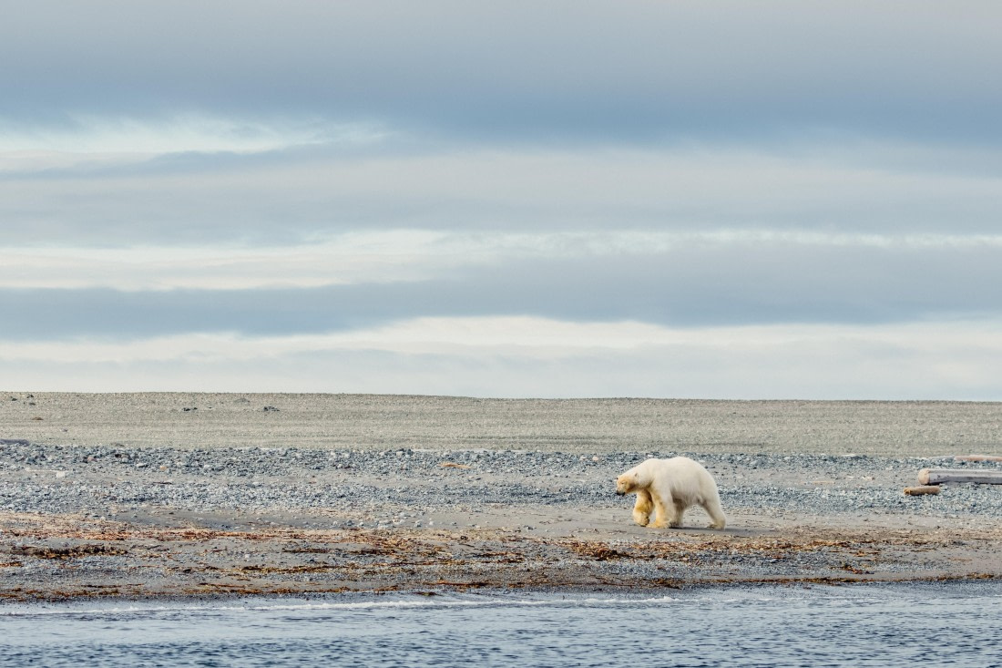 OTL06-24, Day 6,  2B5A1144 © Juan Martin Berenstein - Oceanwide Expeditions.jpg