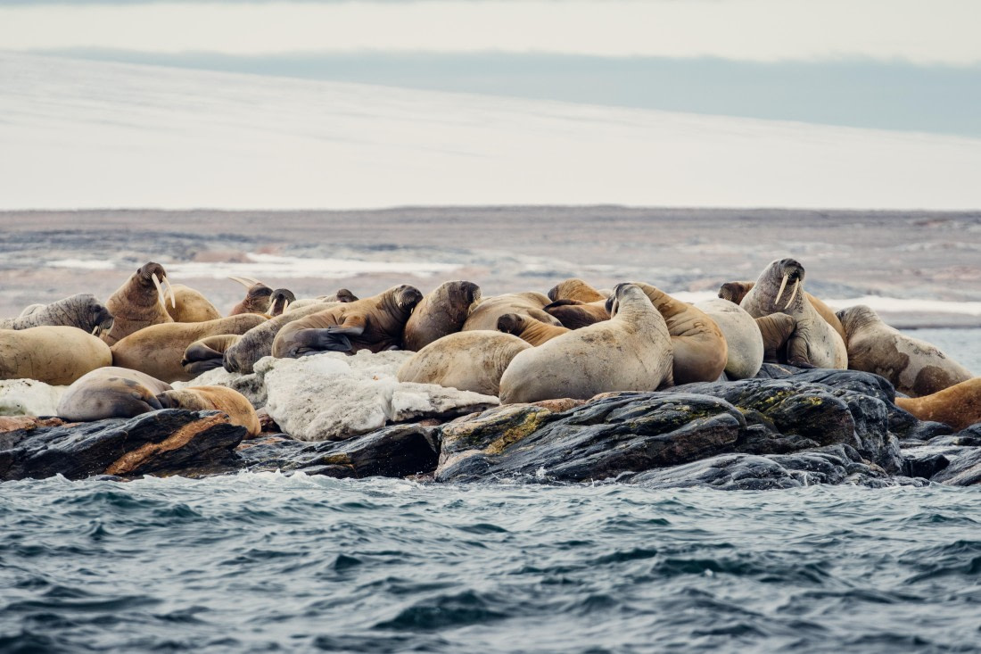 OTL06-24, Day 6,  2B5A1283 © Juan Martin Berenstein - Oceanwide Expeditions.jpg