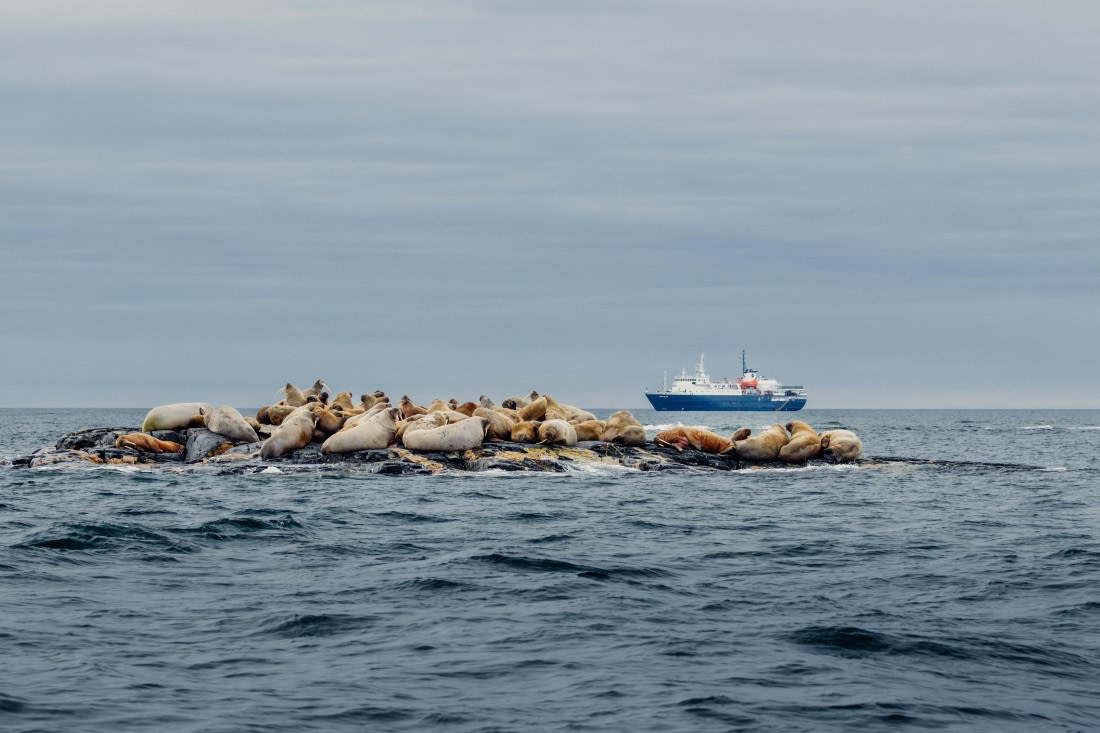 OTL06-24, Day 6,  2B5A1356 © Juan Martin Berenstein - Oceanwide Expeditions.jpg