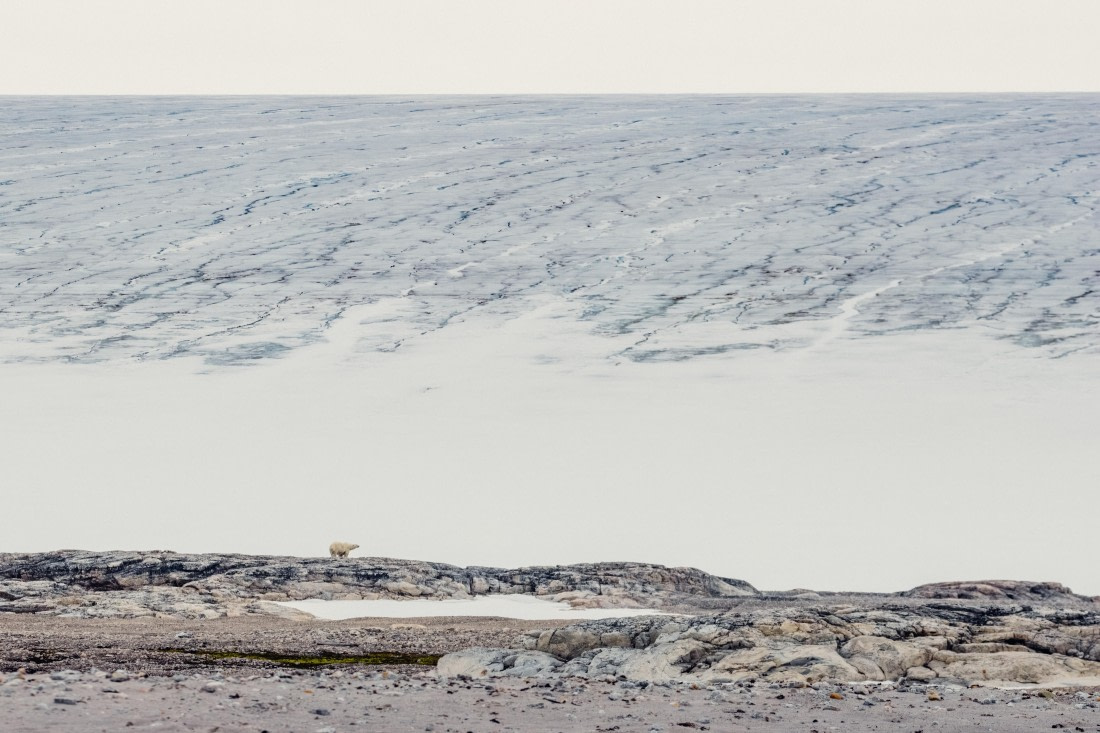 OTL06-24, Day 6,  2B5A1376 © Juan Martin Berenstein - Oceanwide Expeditions.jpg