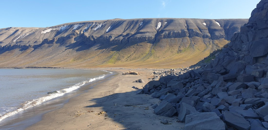 OTL06-24, Day 7,   20240716_102006 © Unknown photographer - Oceanwide Expeditions.jpg