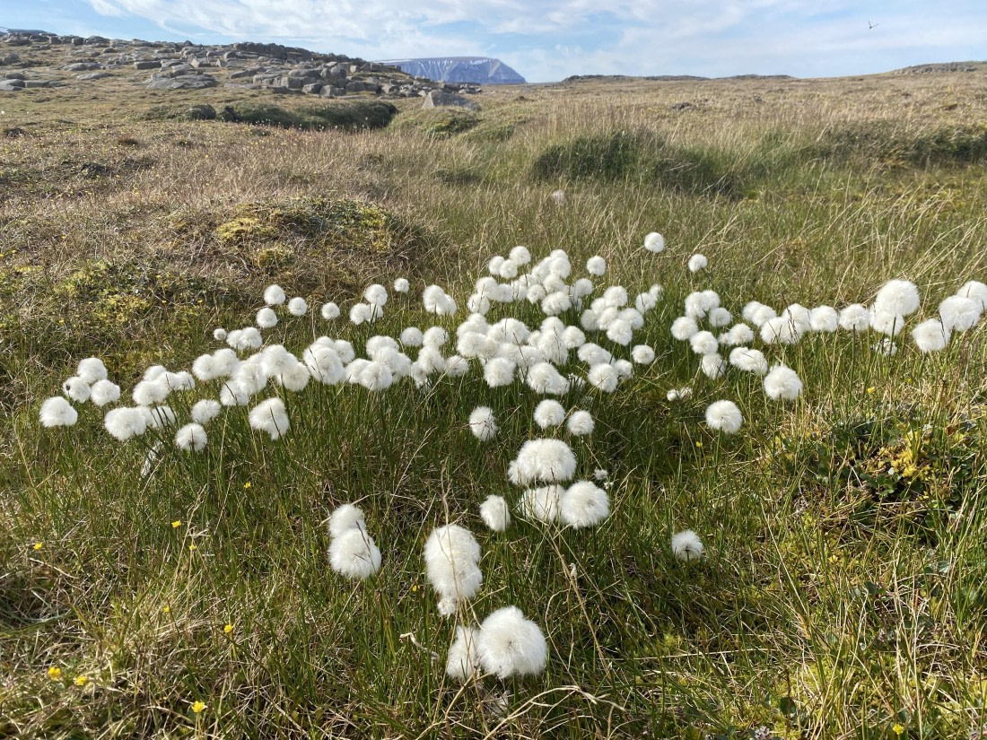 HDS07-24, Day 8, IMG_4436 © Unknown photographer - Oceanwide Expeditions.JPG