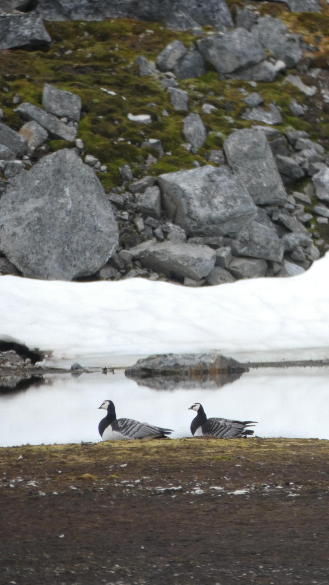 HDS07-24, Day 4, P1050537 © Renno Hokwerda - Oceanwide Expeditions.JPG