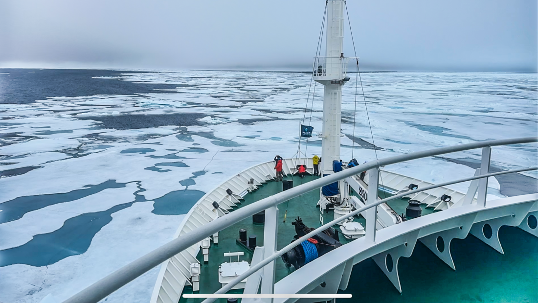 HDS07-24, Day 5, 66951617-C9A2-4C2F-B0DE-4433424059E8 © Unknown photographer - Oceanwide Expeditions.PNG