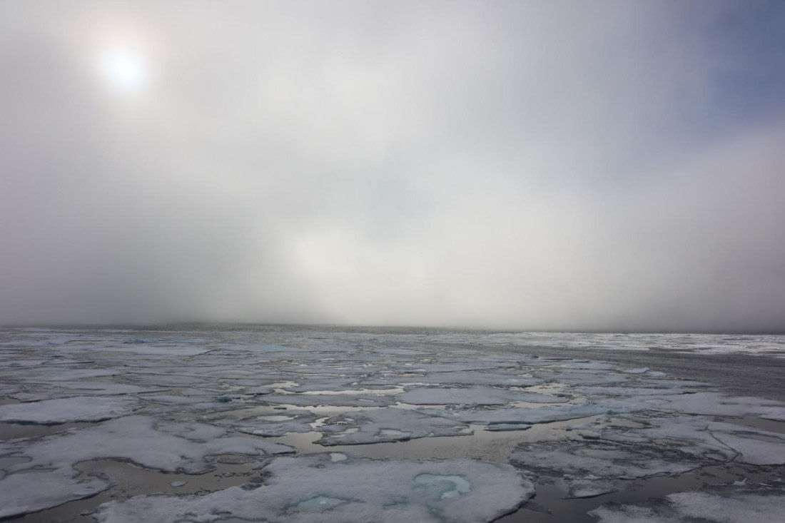 HDS07-24, Day 5, IMG_3503 © Unknown photographer - Oceanwide Expeditions.JPG