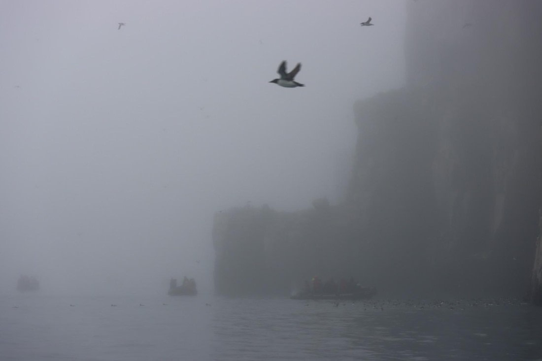 HDS07-24, Day 6, IMG_3532 © Unknown photographer - Oceanwide Expeditions.JPG