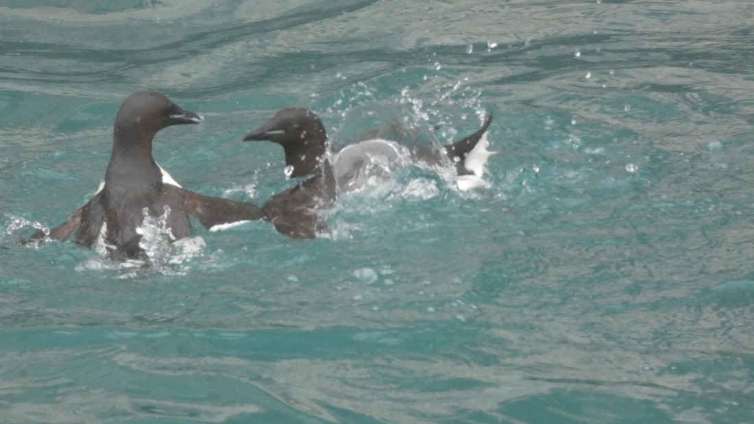 HDS07-24, Day 6, P1060137 © Unknown photographer - Oceanwide Expeditions.JPG