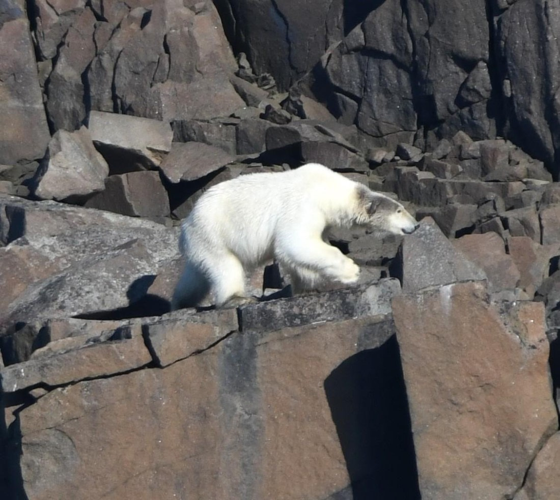 HDS07-24, Day 6, PB13 © Jens Binderup - Oceanwide Expeditions.JPG