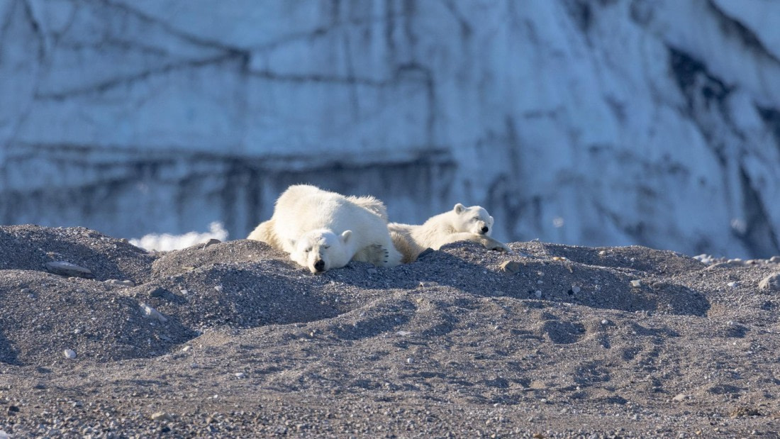 HDS07-24, Day 7, 4Q9A3421 © Katlyn Taylor - Oceanwide Expeditions.jpeg