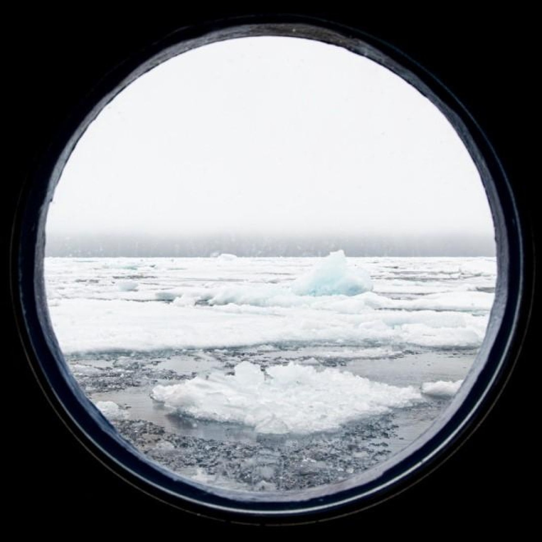 PLA07-24, Day 4,   Picture7 © Unknown photographer - Oceanwide Expeditions.jpg