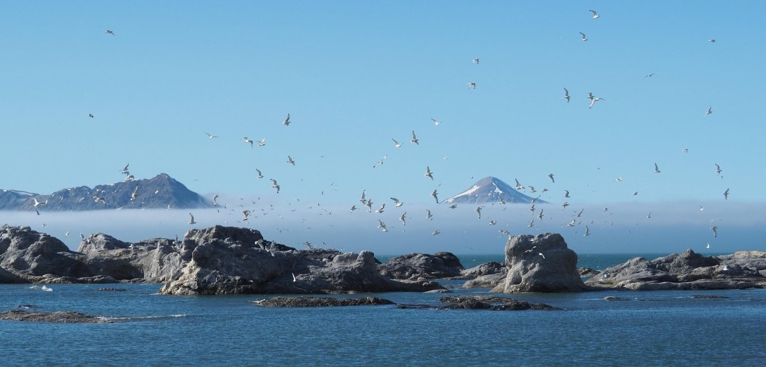 Great Light, Great Life