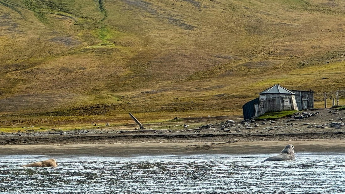 HDS08-24, Day 7, EB515482-0305-459D-A789-A6296F46BFE4 © Unknown photographer - Oceanwide Expeditions.JPEG