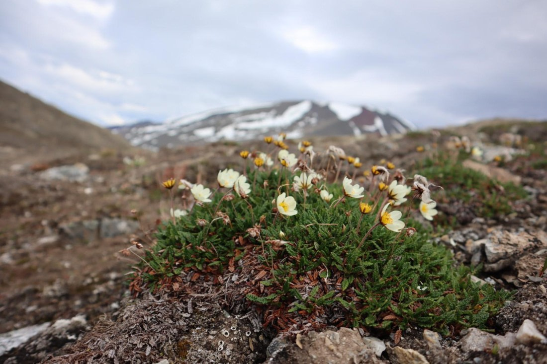 HDS08-24, IMG_3798 © Daan Vreugdenhil - Oceanwide Expeditions.JPG