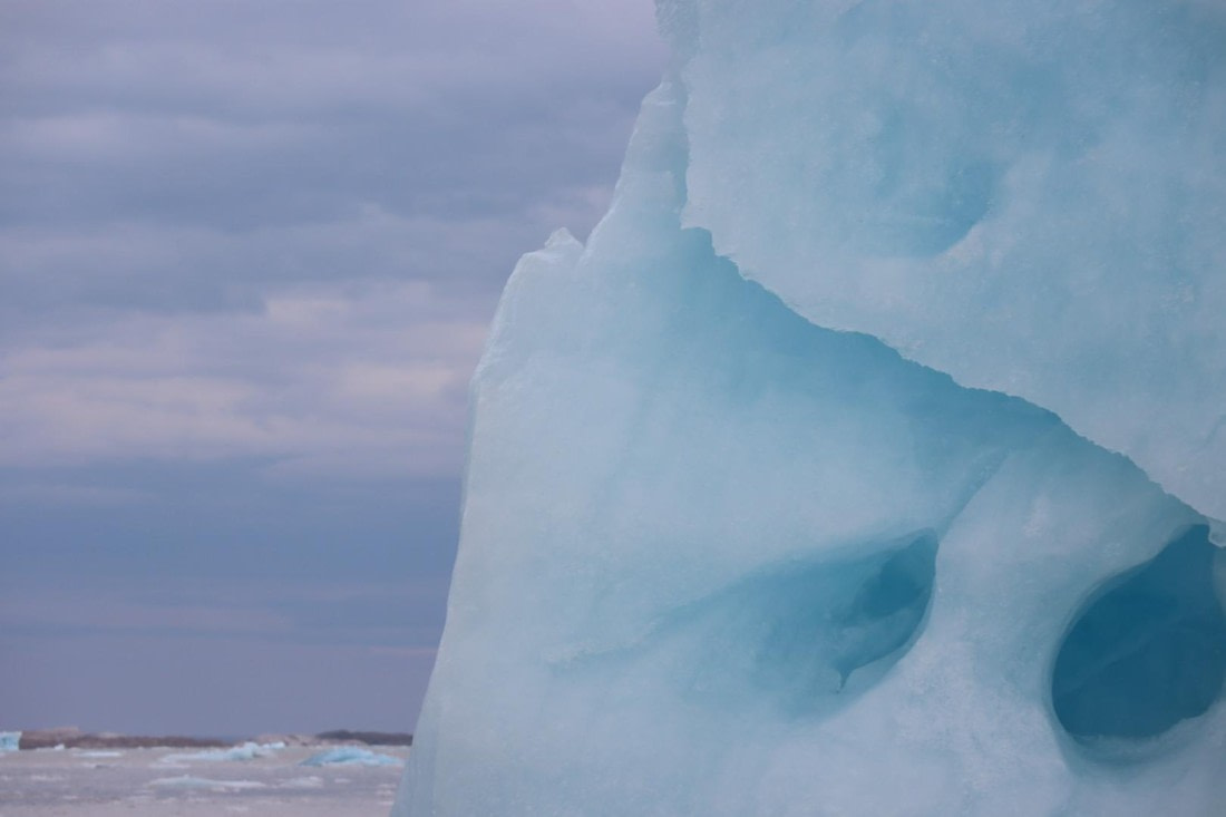 HDS08-24, IMG_3808 © Daan Vreugdenhil - Oceanwide Expeditions.JPG