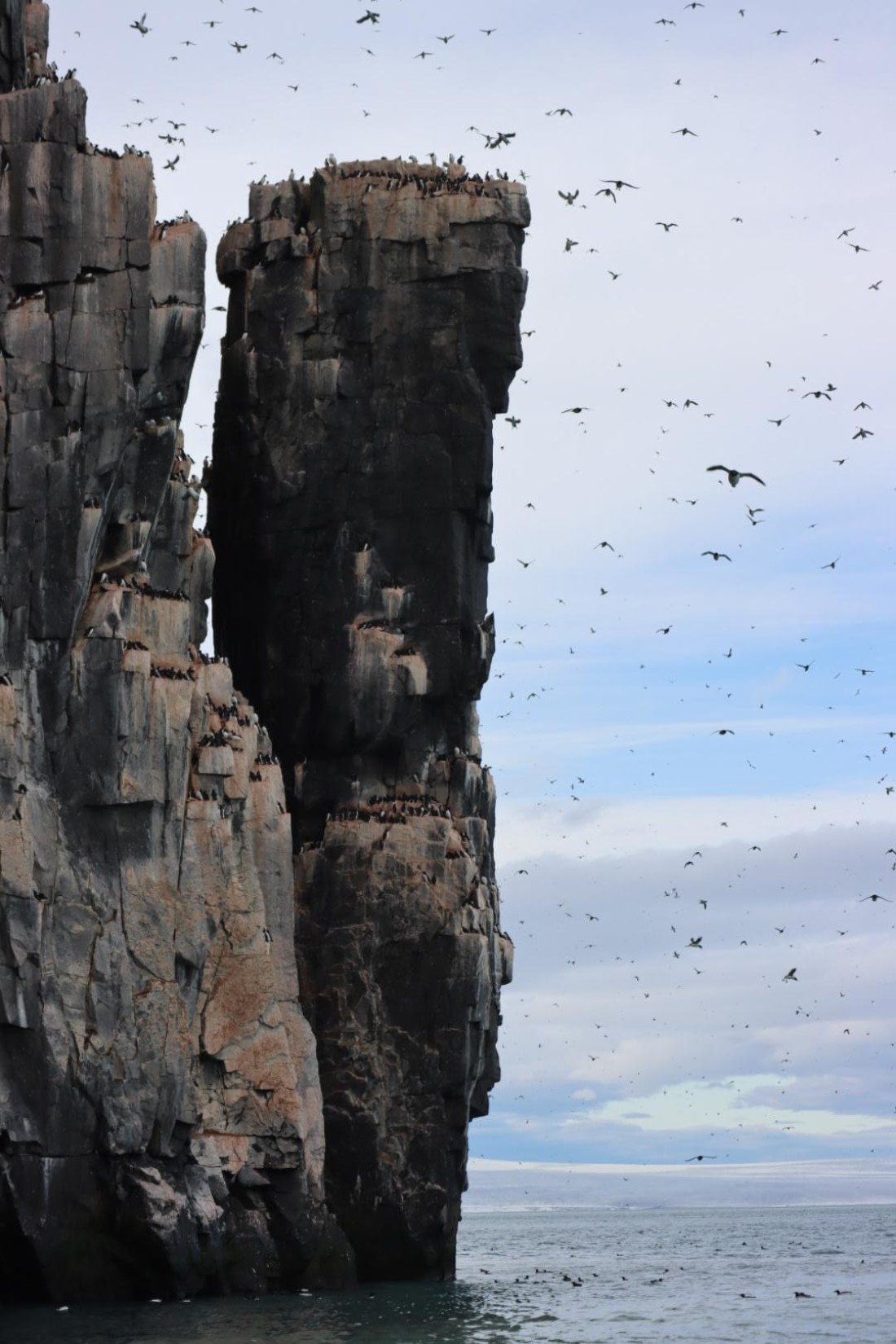 HDS08-24, IMG_3865 © Daan Vreugdenhil - Oceanwide Expeditions.JPG