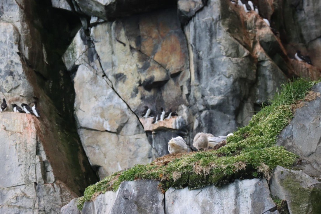 HDS08-24, IMG_3868 © Daan Vreugdenhil - Oceanwide Expeditions.JPG