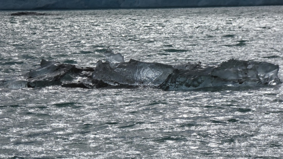 HDS08-24, Day 3, P1070143 © Unknown photographer - Oceanwide Expeditions.JPG