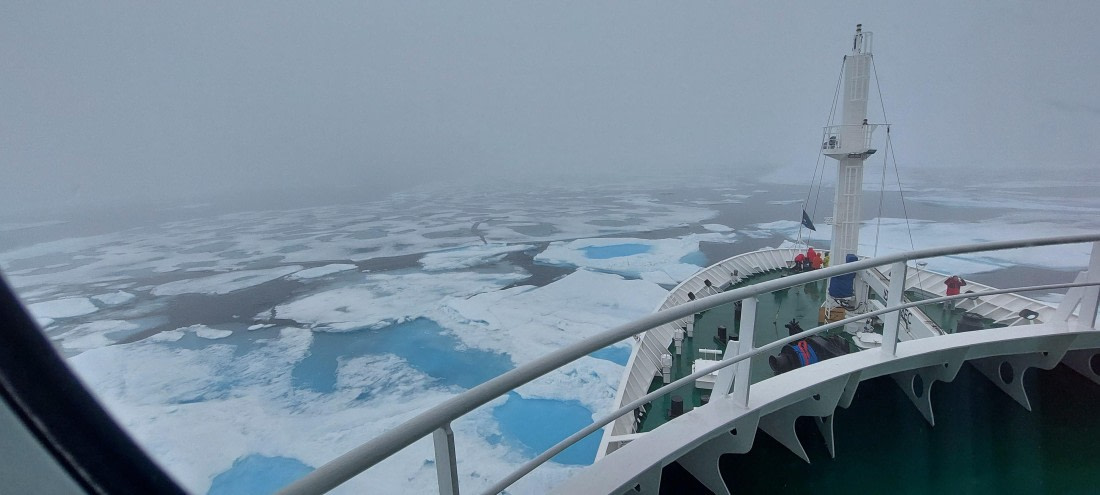 HDS08-24, Day 4, 20240724_130322 © Unknown photographer - Oceanwide Expeditions.jpg