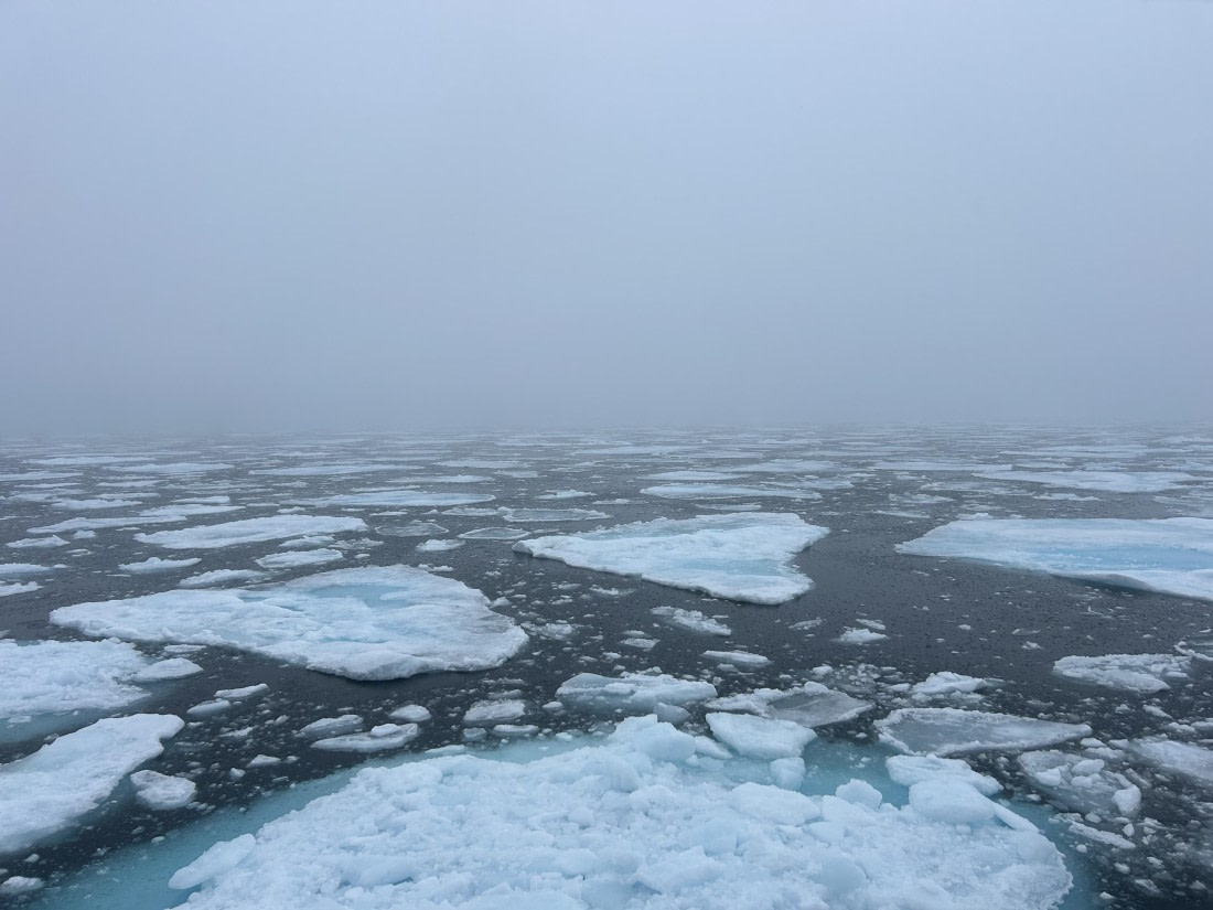 HDS08-24, Day 4, IMG_3058 © Unknown photographer - Oceanwide Expeditions.jpeg