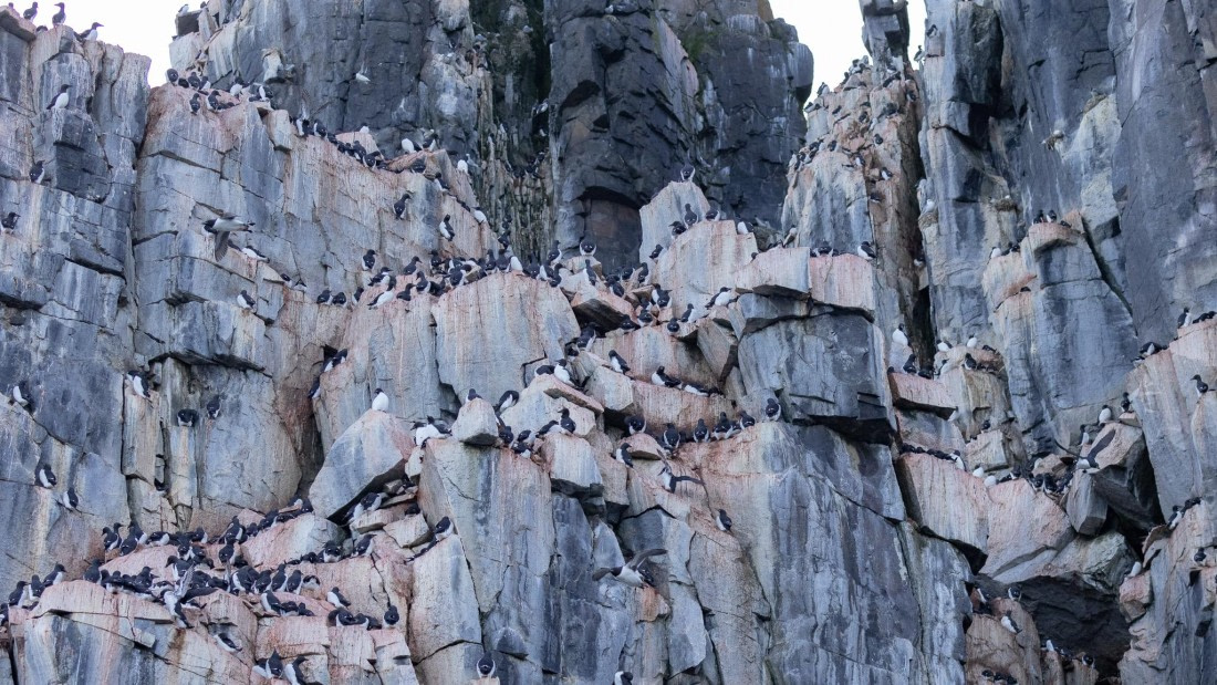 HDS08-24, Day 5, 4Q9A4719 © Katlyn Taylor - Oceanwide Expeditions.jpeg