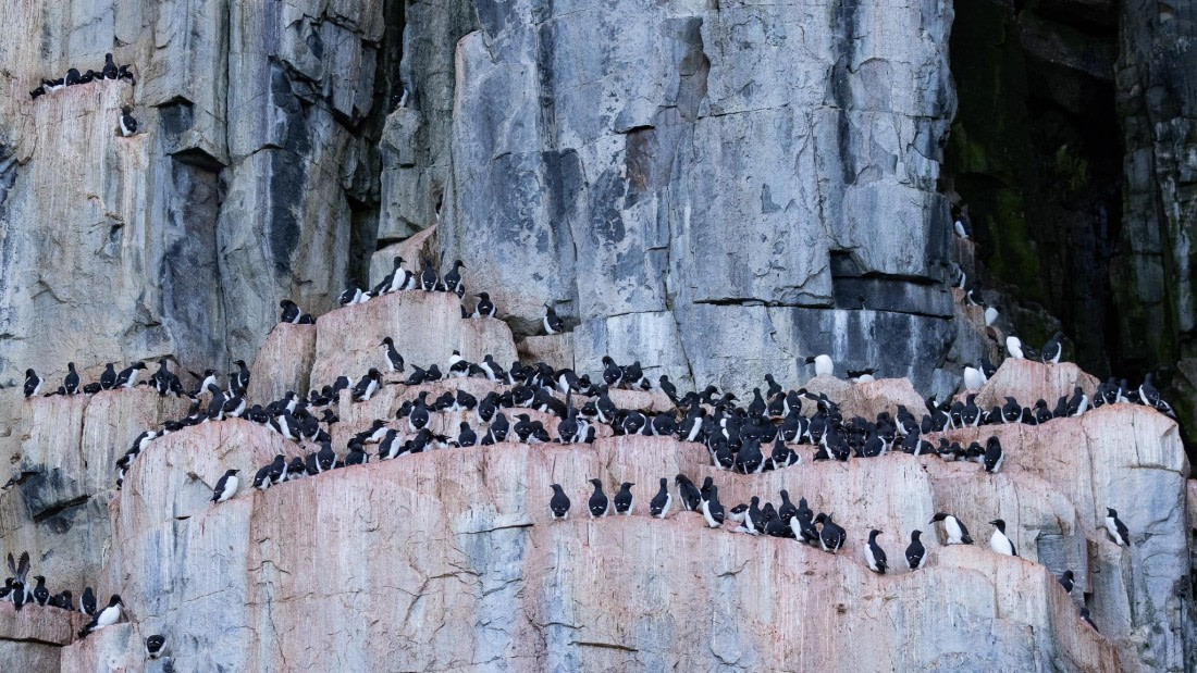 HDS08-24, Day 5, 4Q9A4722 © Katlyn Taylor - Oceanwide Expeditions.jpeg