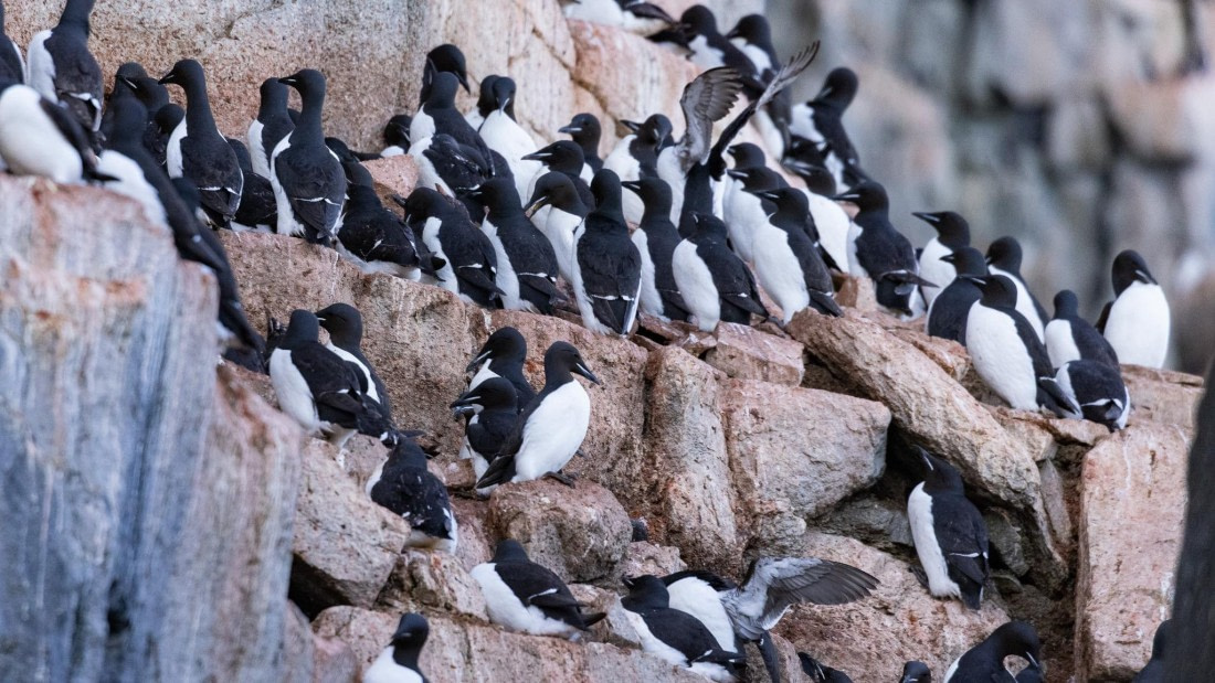 HDS08-24, Day 5, 4Q9A4760 © Katlyn Taylor - Oceanwide Expeditions.jpeg
