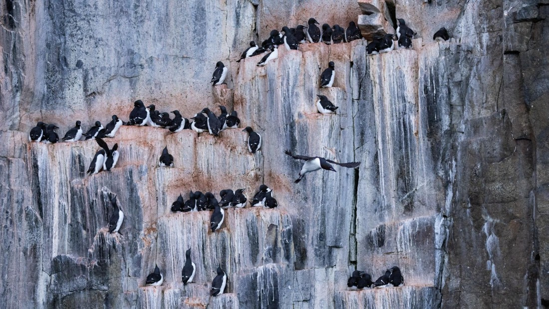 HDS08-24, Day 5, 4Q9A4778 © Katlyn Taylor - Oceanwide Expeditions.jpeg