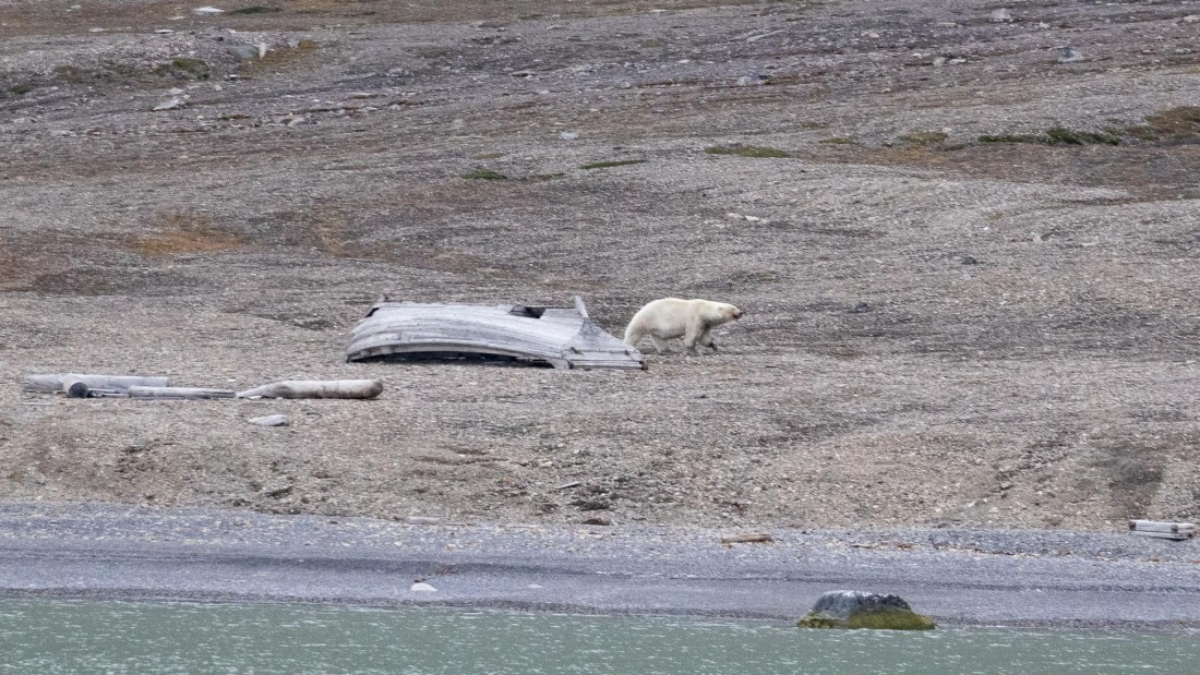 HDS08-24, Day 5, 4Q9A4958 © Katlyn Taylor - Oceanwide Expeditions.jpeg
