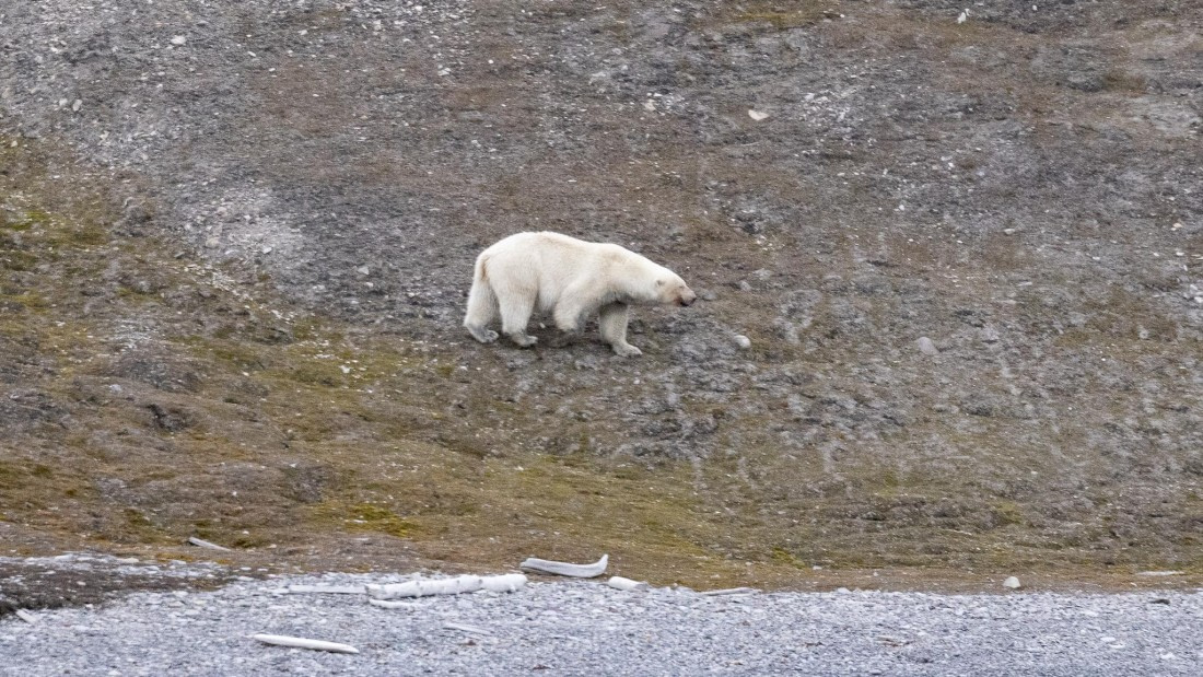 HDS08-24, Day 5, 4Q9A4996 © Katlyn Taylor - Oceanwide Expeditions.jpeg