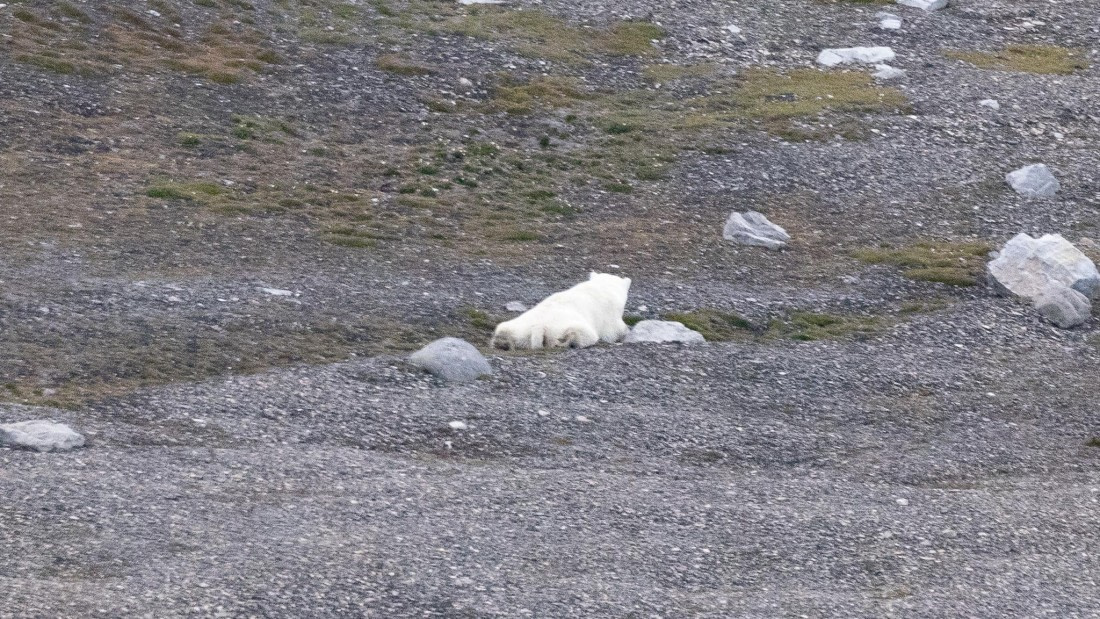 HDS08-24, Day 5, 4Q9A5029 © Katlyn Taylor - Oceanwide Expeditions.jpeg