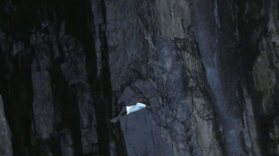 HDS08-24, Day 5, P1070311 © Unknown photographer - Oceanwide Expeditions.JPG