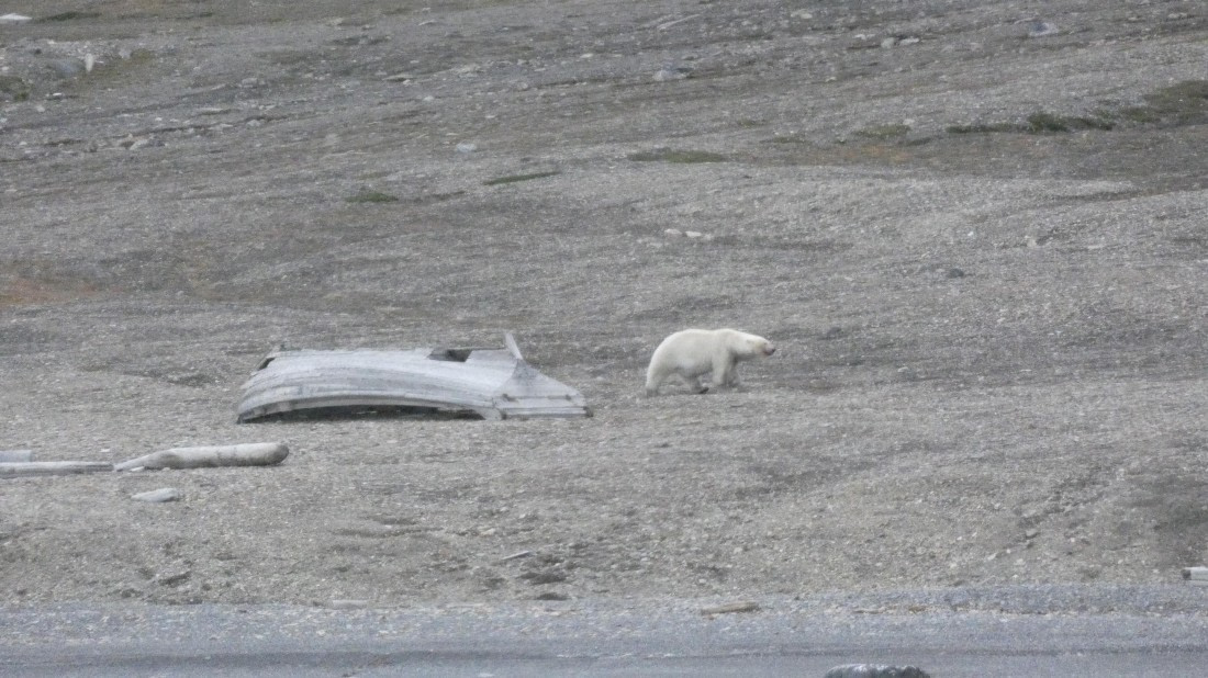 HDS08-24, Day 5, P1070456 © Unknown photographer - Oceanwide Expeditions.JPG