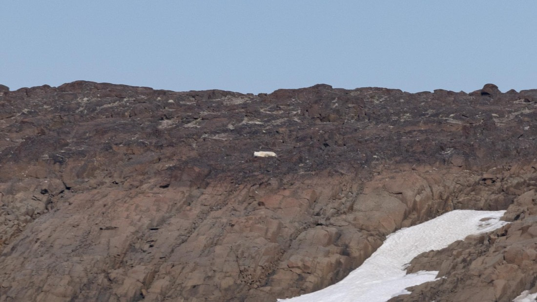 HDS08-24, Day 6, 4Q9A5046 © Katlyn Taylor - Oceanwide Expeditions.jpeg